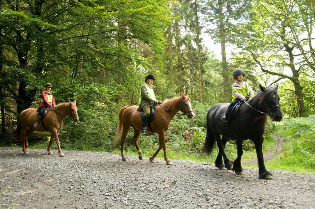 Horse Riding and Spa combo