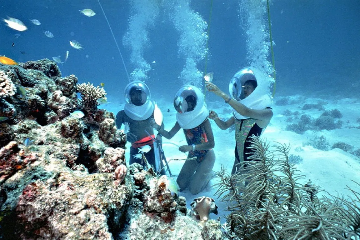 Snorkeling in Bali's vibrant coral reefs