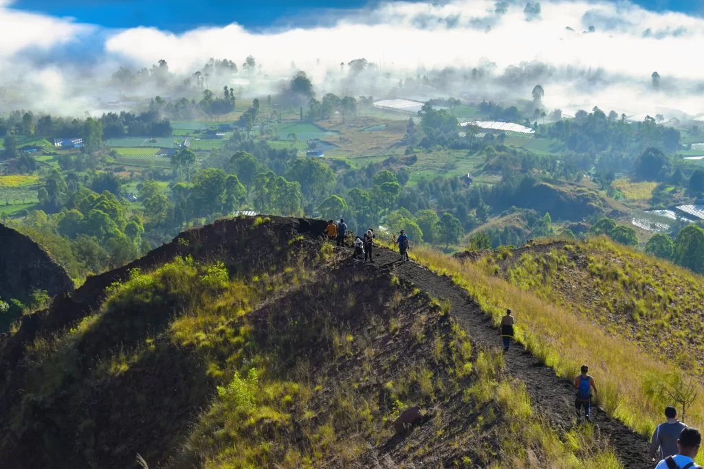 A trekker walking through lush jungle trails